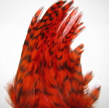 schlappen + saddle grizzy hot orange